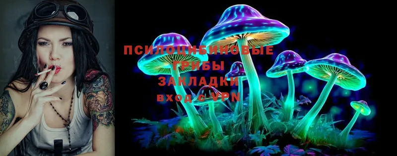 Галлюциногенные грибы Psilocybine cubensis Гуково